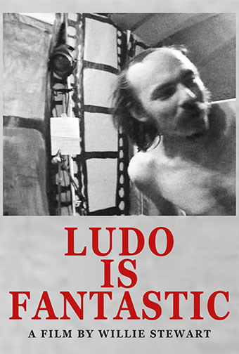 Ludo Mich - Ludo is Fantastic DVD 28745
