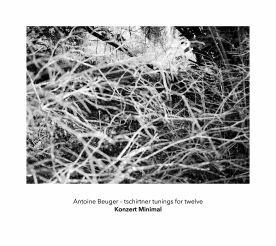 Antoine Beuger - Tschirtner Tunings for Twelve CD 25888