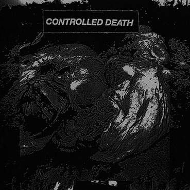 Controlled Death - Beautiful Decomposition 7“ 28675