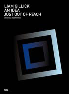 Liam Gillick - An Idea just out of Reach CD 23817