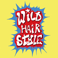 Hair Stylistics - Wild Hair Style CD 25394