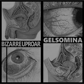 Bizarre Uproar / Gelsomina - Split LP 26402