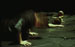 ohne, helsinki 'kiasma theater', 19th november 2004